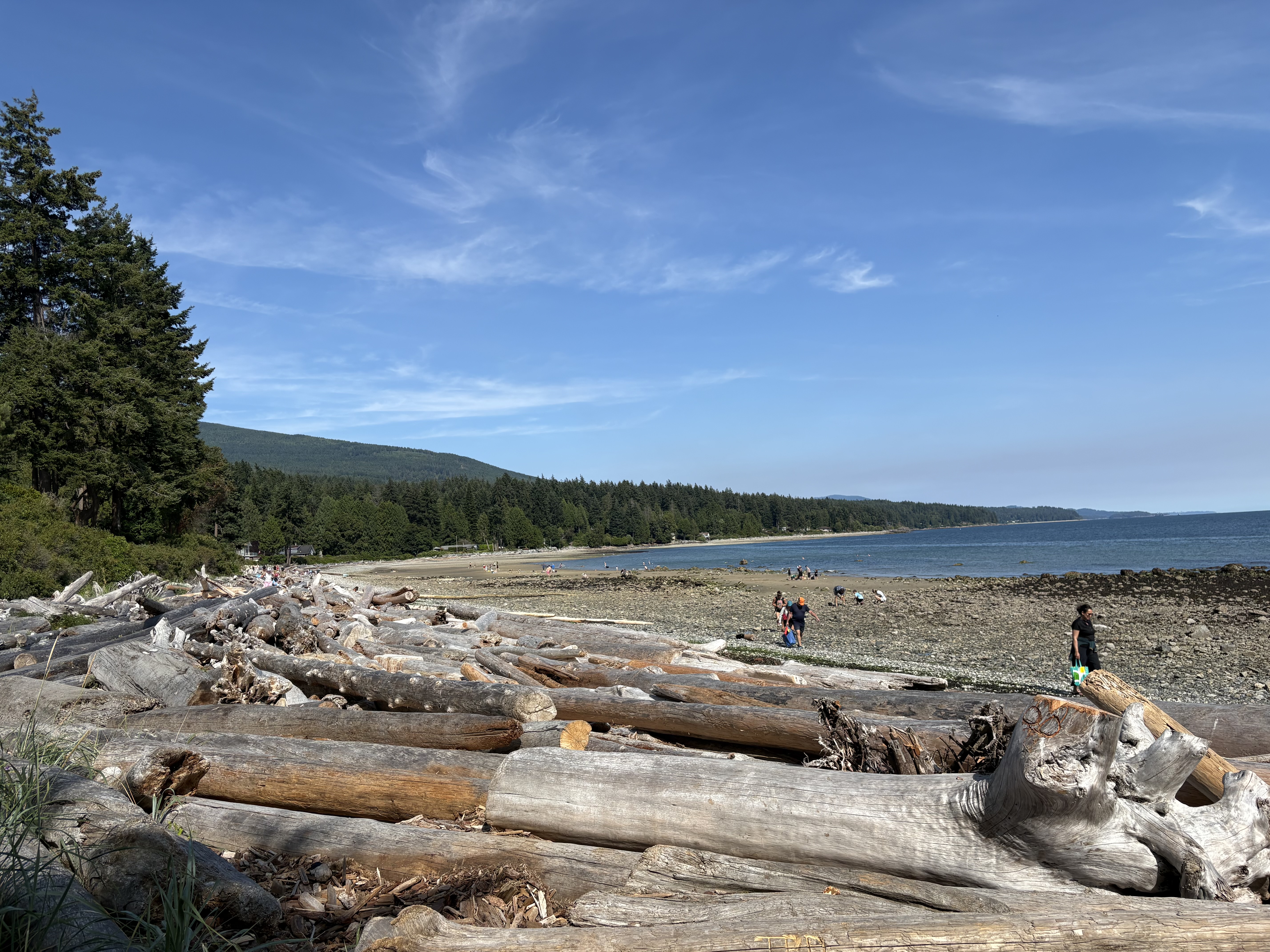 A wide Sunshine Coast beach with driftwood, forest, water, and blue sky