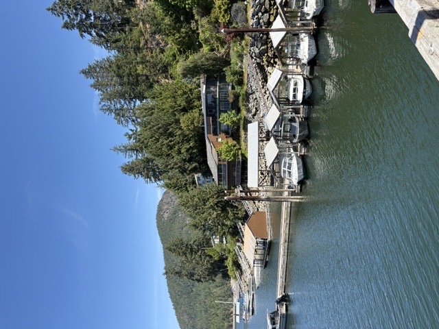 A quiet Sunshine Coast marina with homes tucked into the hillside