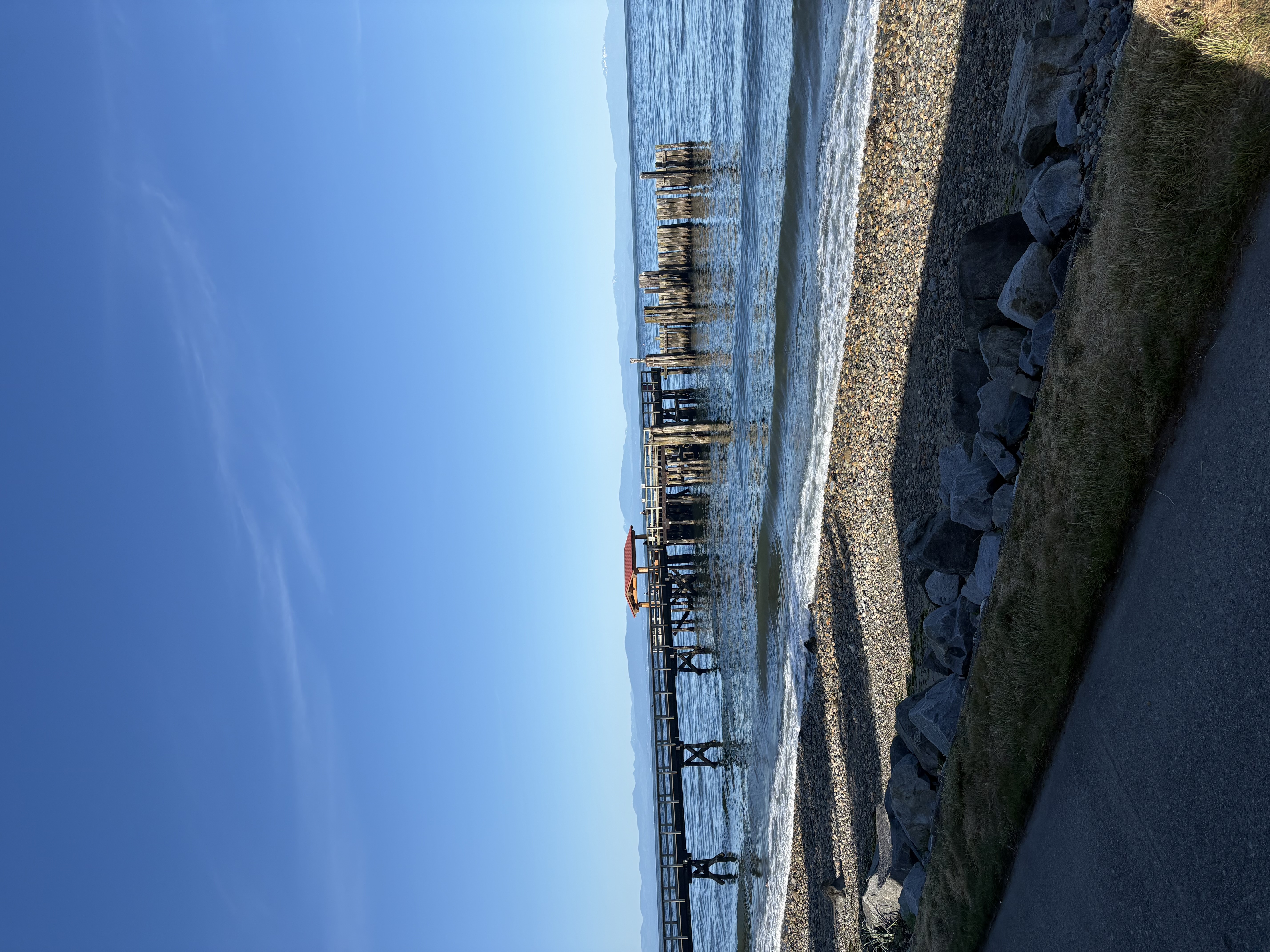 Davis Bay waterfront path with homes, trees, and ocean views