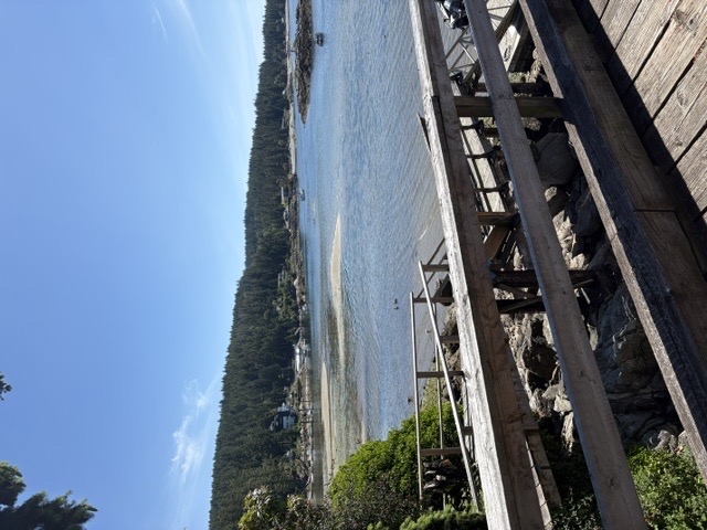 Halfmoon Bay Government Dock extending over blue water