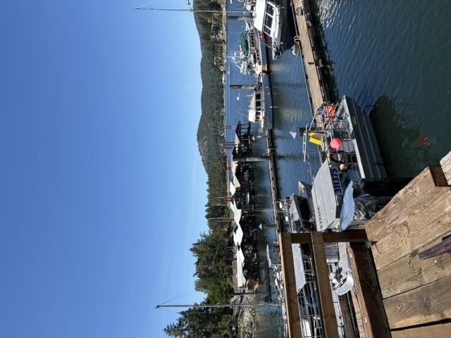 Pender Harbour village and waterfront setting