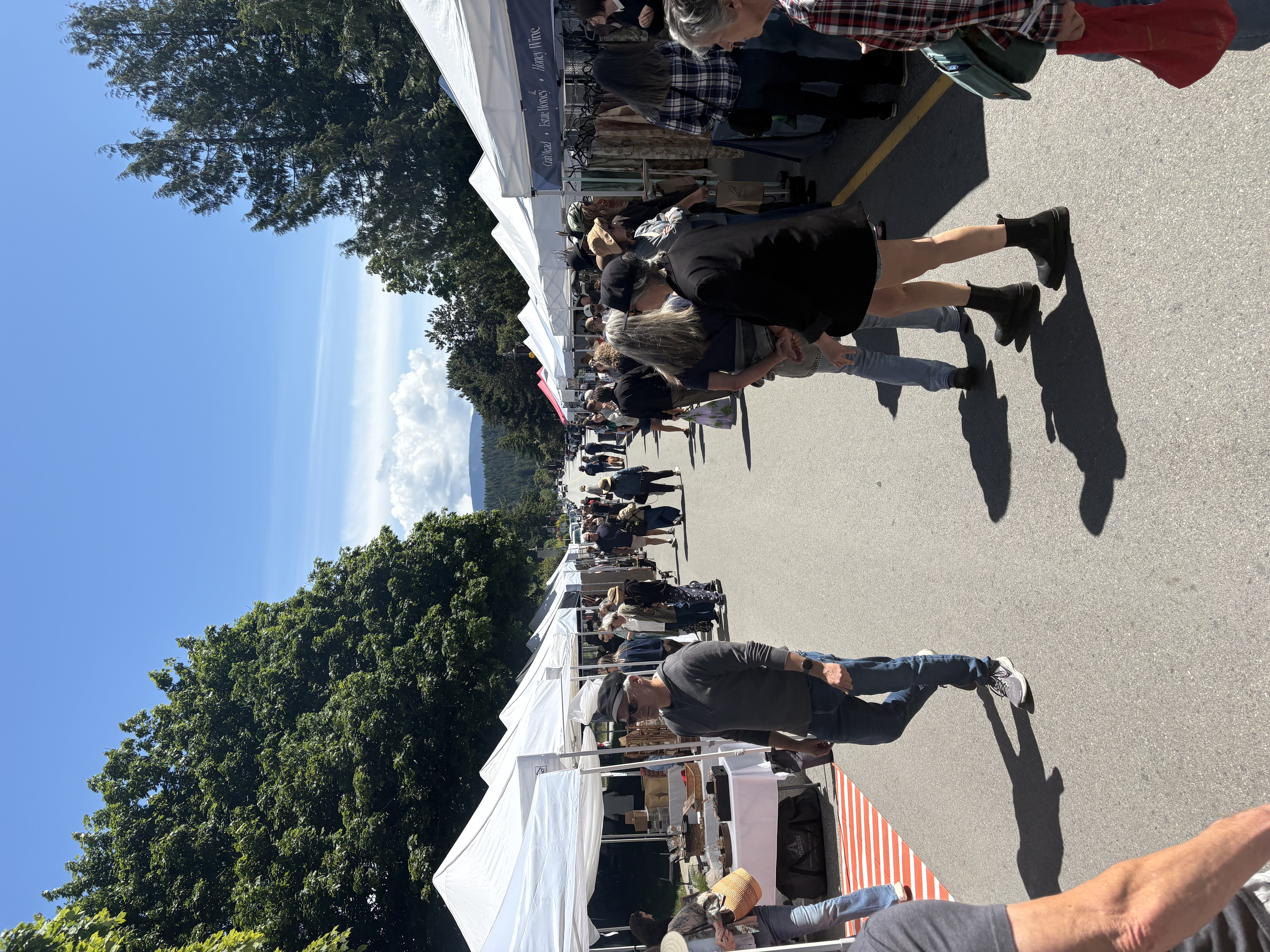 Weekend farmers market on the Sunshine Coast with tents, shoppers, trees, and hills