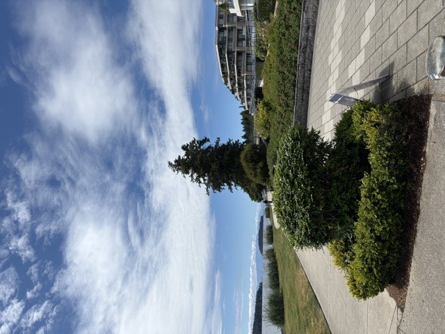A waterfront walking path and gardens on the Sunshine Coast