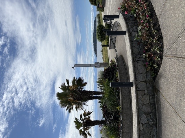 Sechelt waterfront garden and coastal landscaping