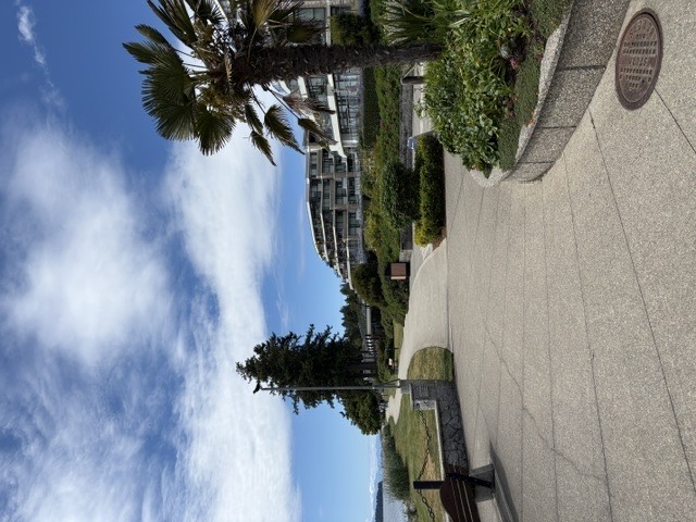 Sechelt waterfront walking path with palms, gardens, and ocean views