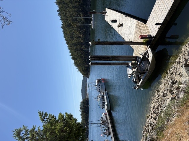 Secret Cove Marina dock with boats and forested shoreline