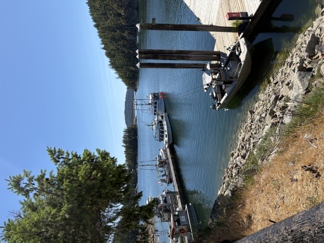 Secret Cove Marina dock with boats and forested shoreline
